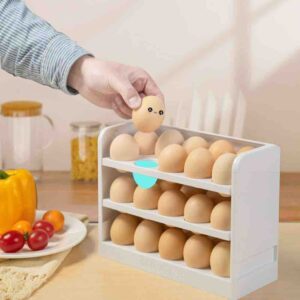 PORTA HUEVOS 🥚