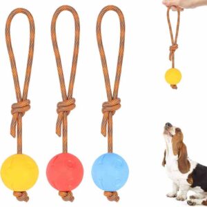 PELOTA MASCOTA LAZO