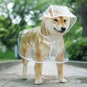 CARPA LLUVIA DE PERRO