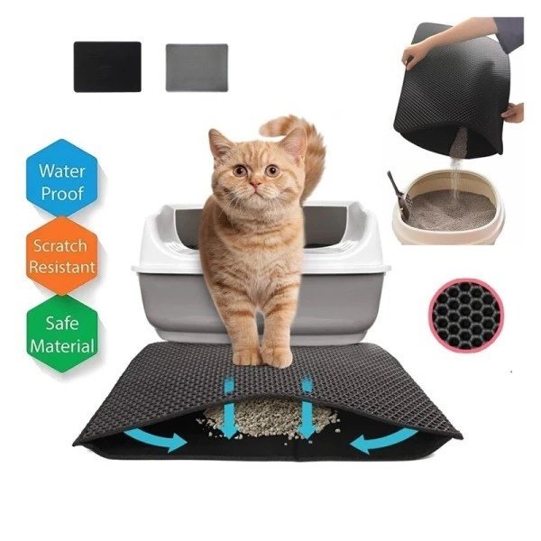 JUEGO BOLA MASCOTA RECARGABLE GRANDE