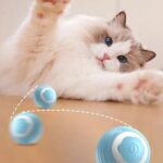 JUEGO BOLA MASCOTA RECARGABLE PEQUEÑO