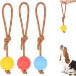 PELOTA MASCOTA LAZO