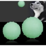 PELOTA MASCOTA NEON GRANDE