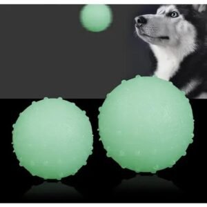 PELOTA MASCOTA NEON GRANDE