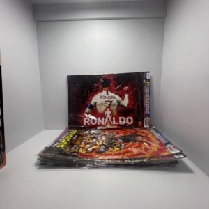 ROMPECABEZAS GRANDE CARTON 34X50